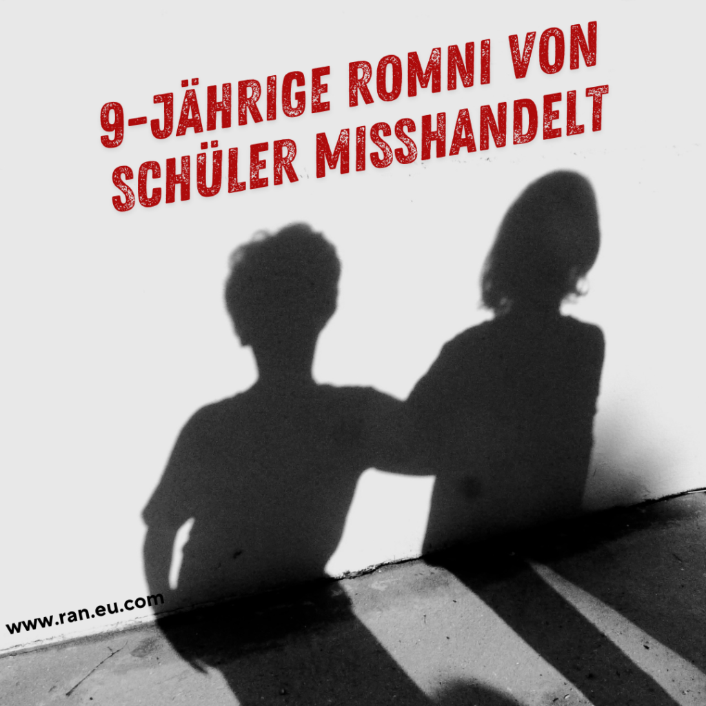 schu%CC%88lerin 2 1024x1024.png